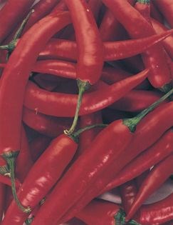 Chilli coulis