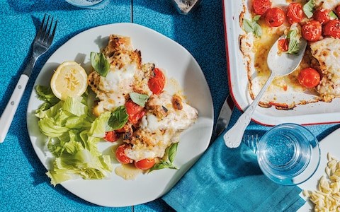 Chilli-hot chicken Margherita