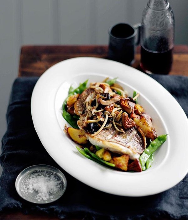 Chish and fips (and mushrooms) [Hugh Wennerbom]