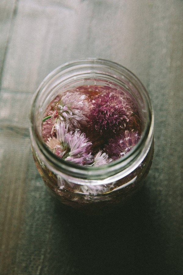 Chive blossom vinegar + pickled chive blossoms