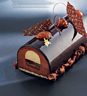 Chocolate & chestnut buche