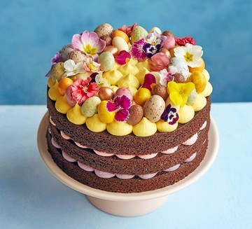 Chocolate & vanilla celebration cake