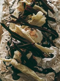 Chocolate and almond Pavlova