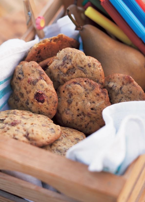 Chocolate and cranberry cookies / biscuits