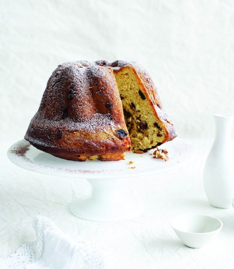 Chocolate and hazelnut panettone