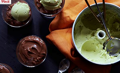 Chocolate and honey pots with avocado ice-cream