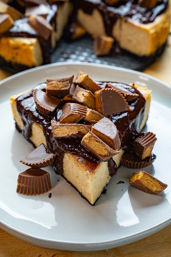 Chocolate and peanut butter cheesecake