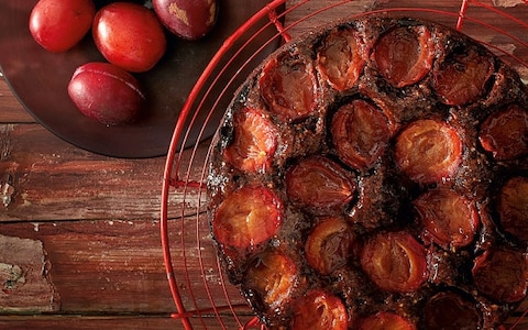 Chocolate and plum cake