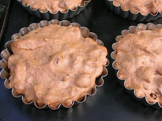 Chocolate, apricot and walnut tortes