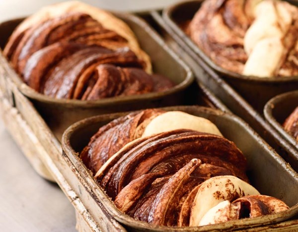 Chocolate babka