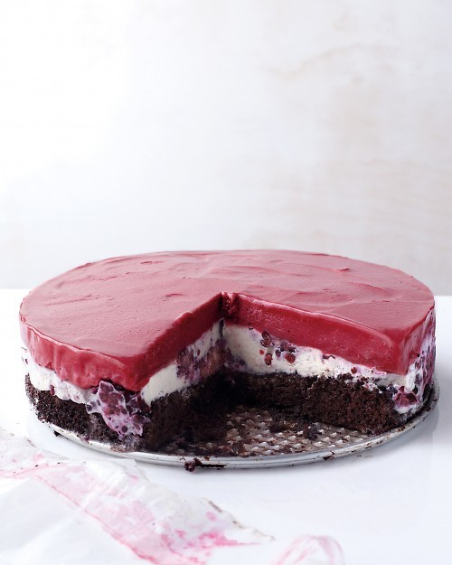 Chocolate-berry ice cream cake