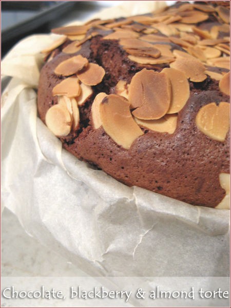 Chocolate, blackberry and almond torte