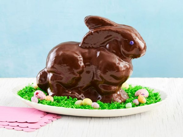 Chocolate bunny cake 