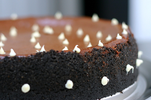Chocolate caramel cheesecake