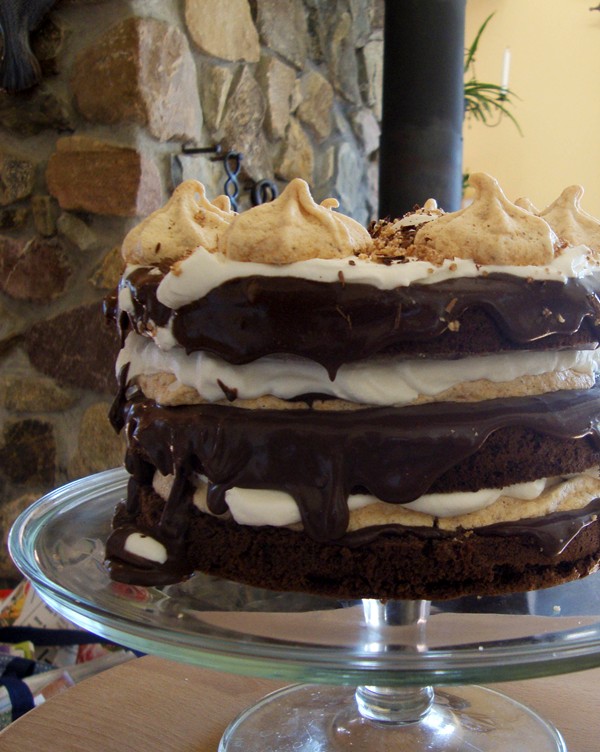 Chocolate celebration cake with pecan meringues