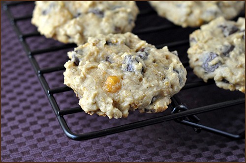 Chocolate chickpea cookies