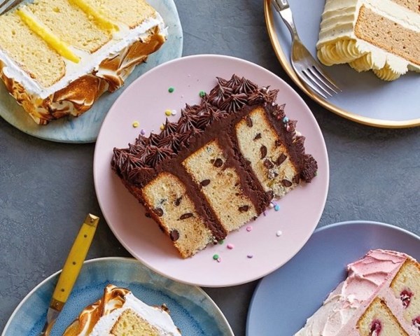 Chocolate chip cake with chocolate American buttercream