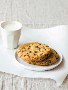Chocolate chip cookies