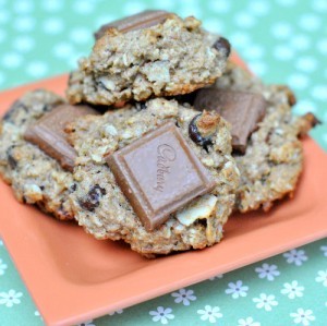 Chocolate chip-cranberry cookies