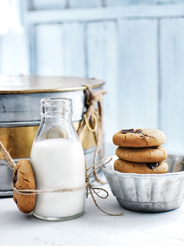 Chocolate-chip gingerbread cookies