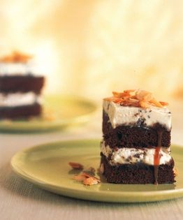 Chocolate chip ice cream cake