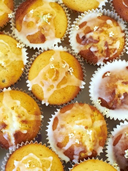 Chocolate chip muffins