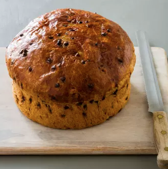 Chocolate chip panettone