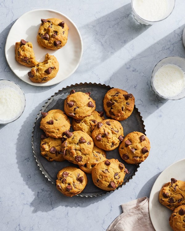 Chocolate chip pumpkin cookies