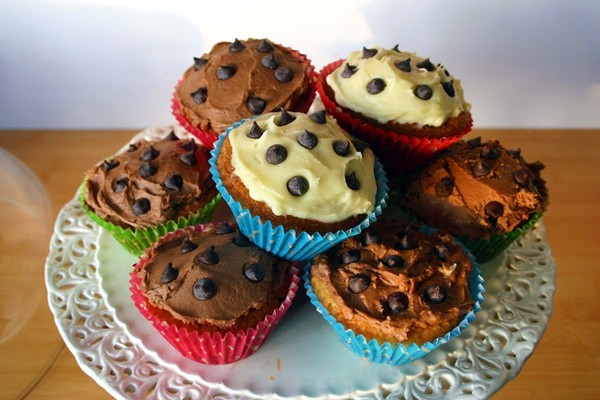 Chocolate chip vanilla cupcakes