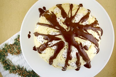 Chocolate chip zuccotto