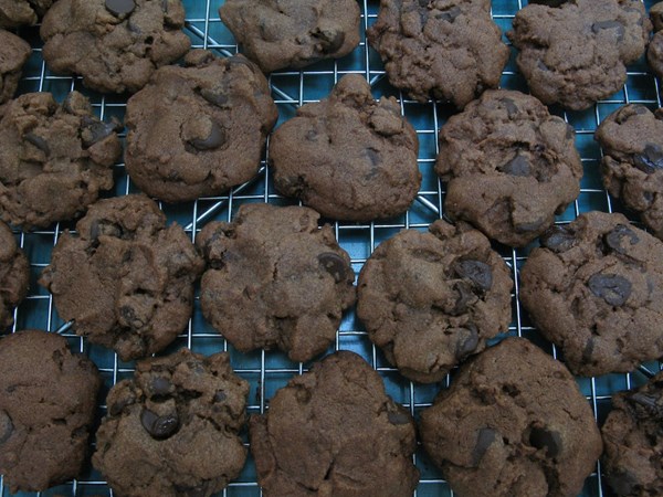 Chocolate-chocolate chip mint cookies