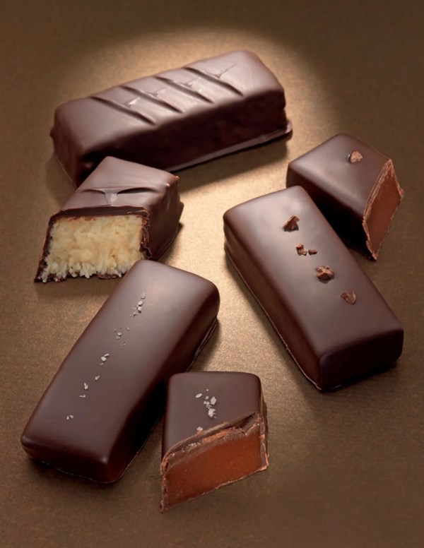 Chocolate coconut bars
