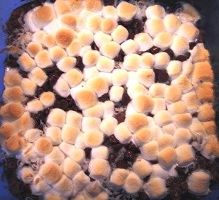 Chocolate coconut marshmallow bars