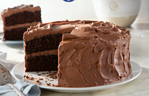 Chocolate coffee mayo cake