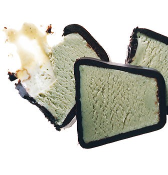 Chocolate-covered mint ice cream terrine