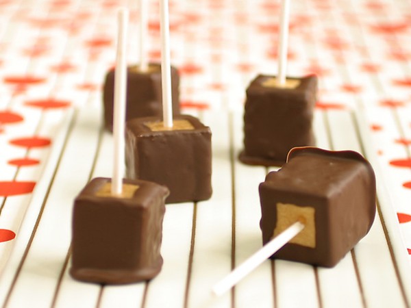 Chocolate covered peanut butter cheesecake pops