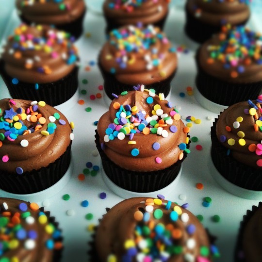 Chocolate cupcakes with Nutella cloud frosting