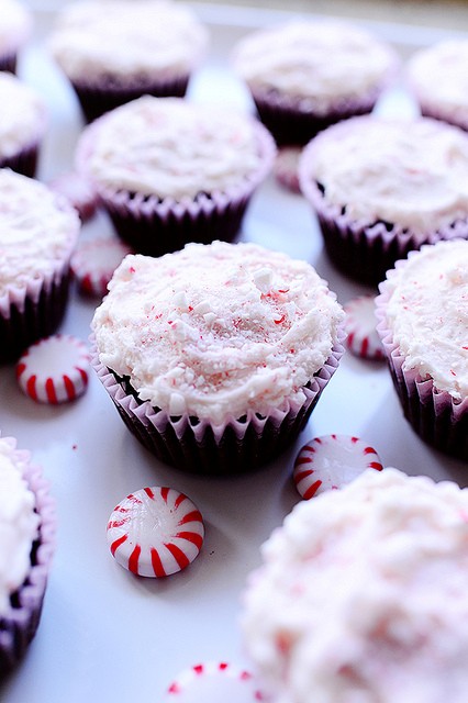 Chocolate cupcakes with peppermint frosting