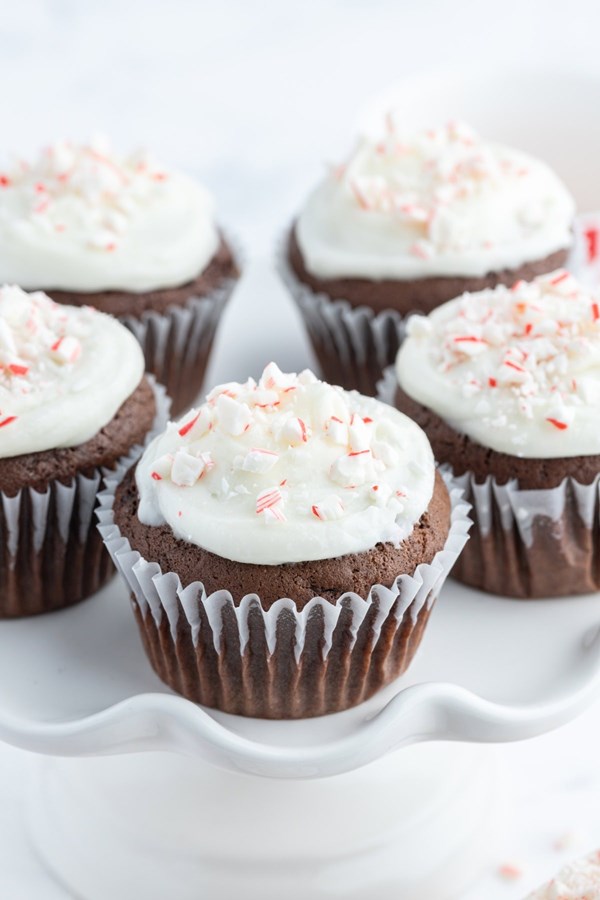 Chocolate cupcakes with peppermint icing