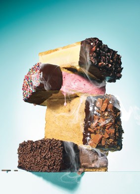 Chocolate-dipped ice cream sandwiches