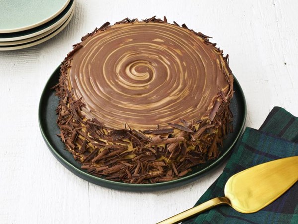 Chocolate dulce de leche stump cake