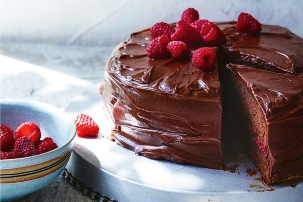 Chocolate frosted cake