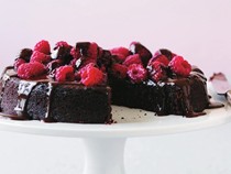 Chocolate ganache and raspberry cake