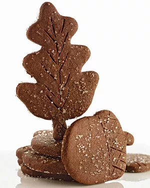 Chocolate-ginger leaves and acorns