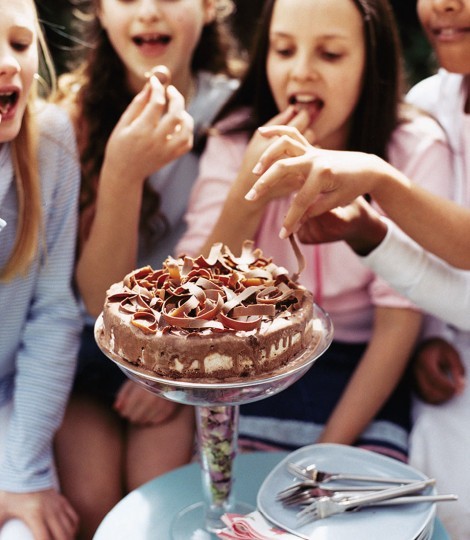 Chocolate ice cream cake