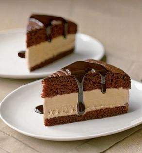 Chocolate ice cream cake or sandwich