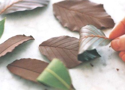 Chocolate leaves