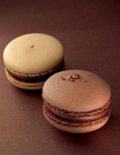 Chocolate macaroons
