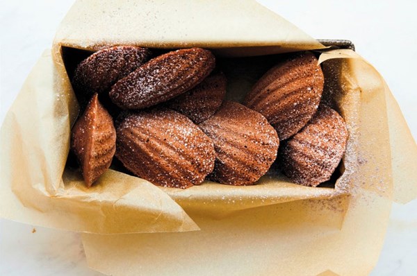 Chocolate madeleines