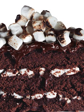 Chocolate-malt cake